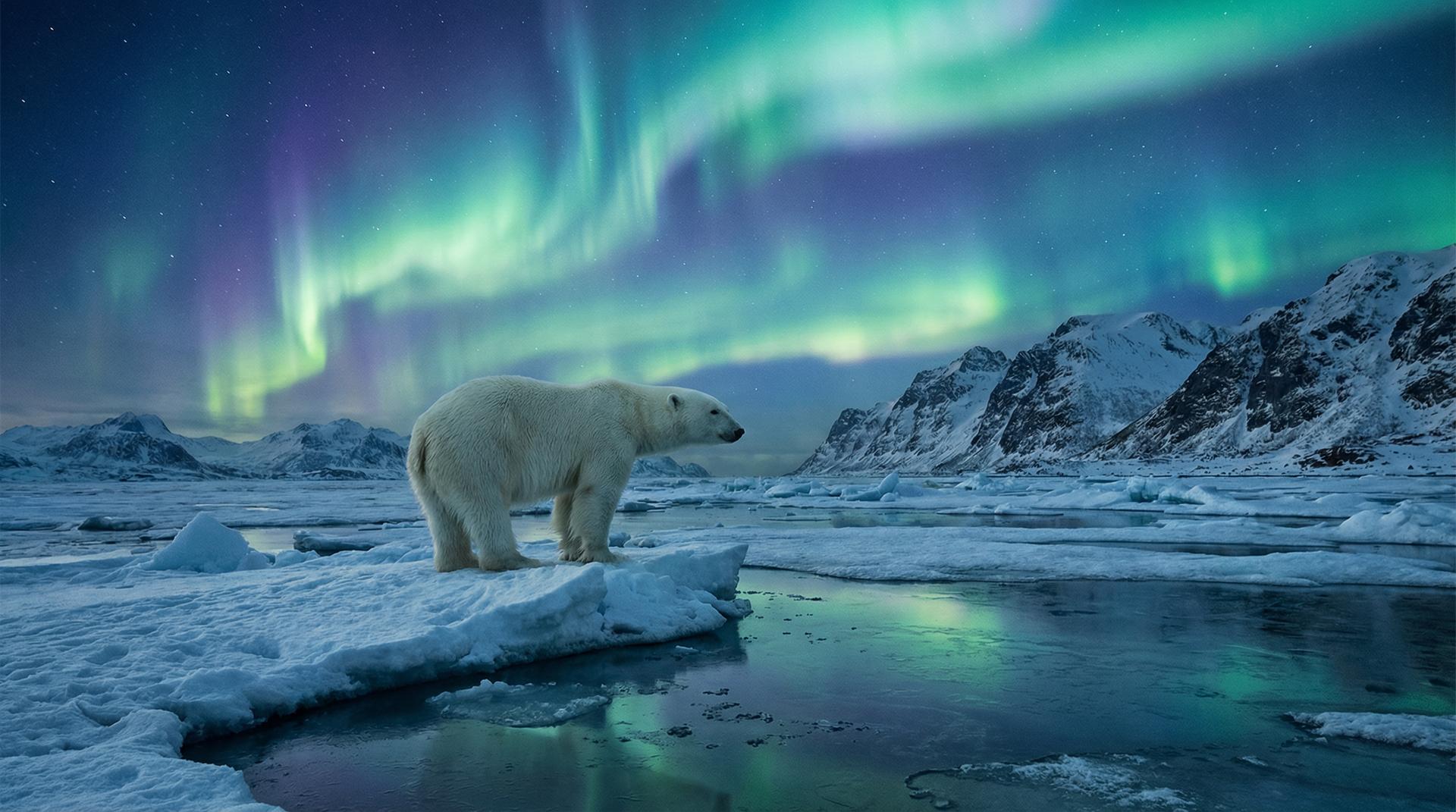 糖心杰尼龟视频